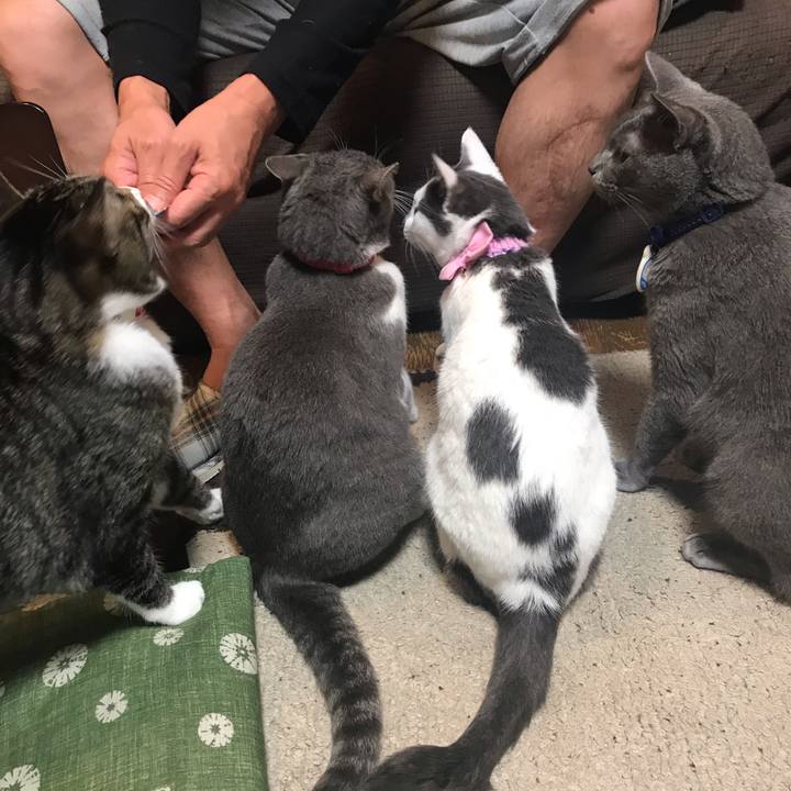 18308fa3 4aee 40e2 bbe8 94e953e4c60e 1563456714781