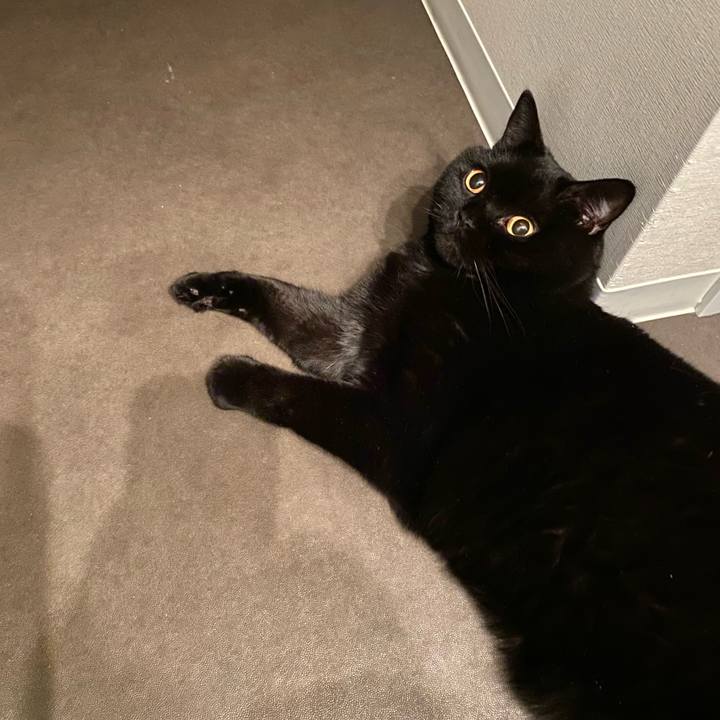 1830b3e0 9d79 47a1 81c3 2025f24eb0fc 1698669316214