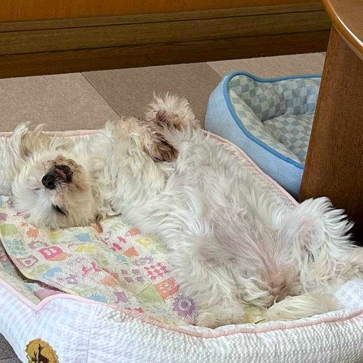 1830bd12 bd7a 4e56 a956 c3adc6565170 1653803100278