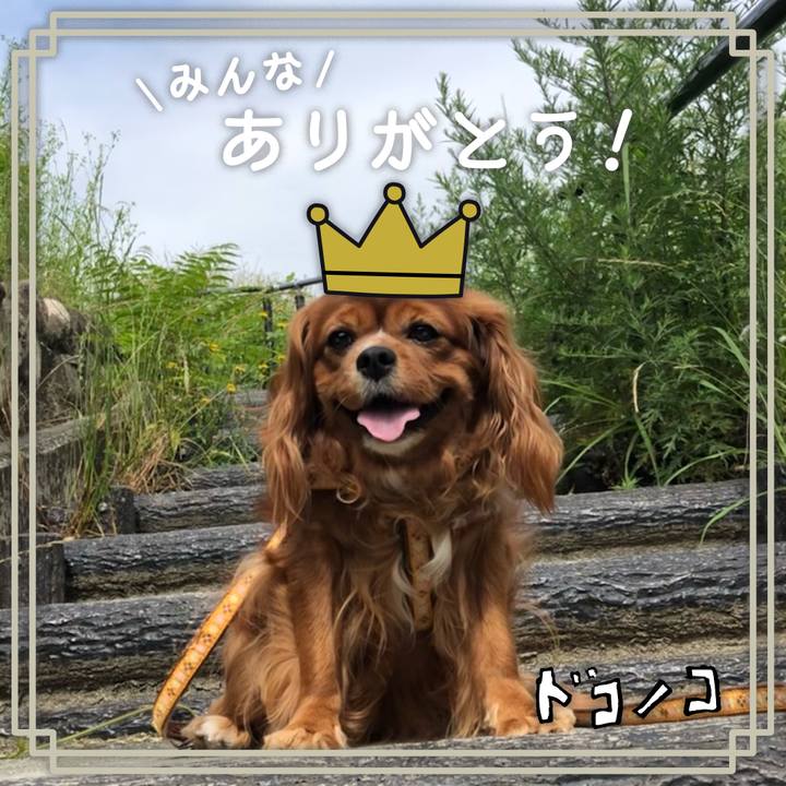 1830bd99 df16 4fe9 b343 b3737b15e531 1623459225010