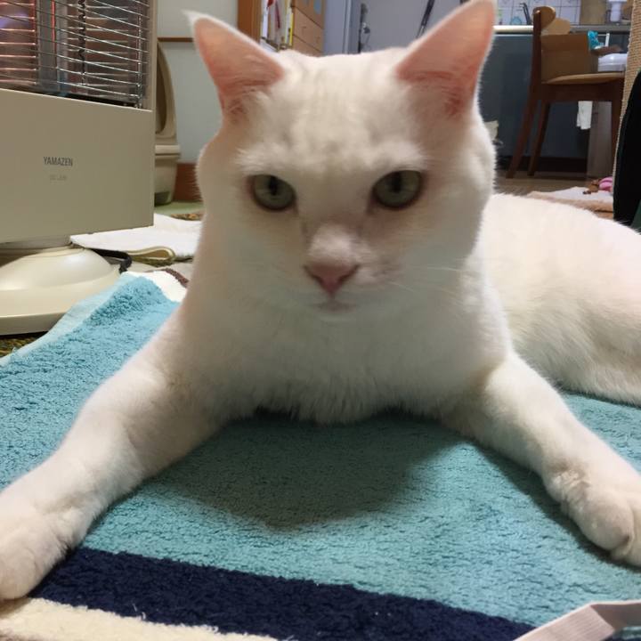 1830c5ef 1a09 48a5 8aae e708c479512c 1509543593077