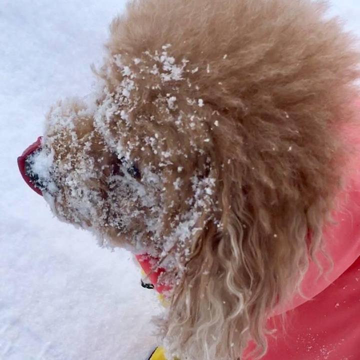 1830d337 1324 4139 a7bc 6c7ff6db7ae6 1614484203525