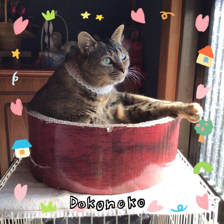 1830da40 bc05 4898 bb5d 08147ab40e45 1741317389520