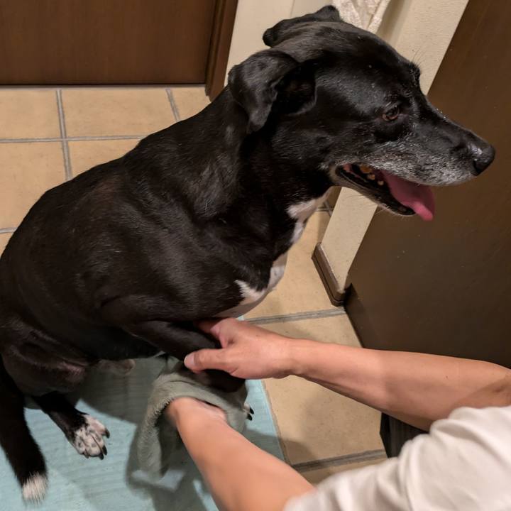 18319031 1650 4d30 a08f db74a918a988 1726915037938