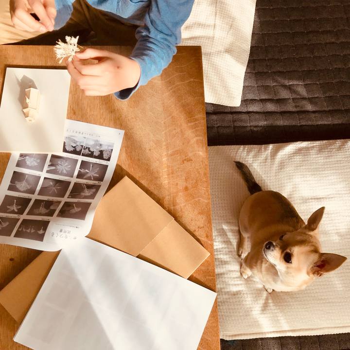 1831c61a 4118 4e89 9a84 59e211e61576 1544923919718