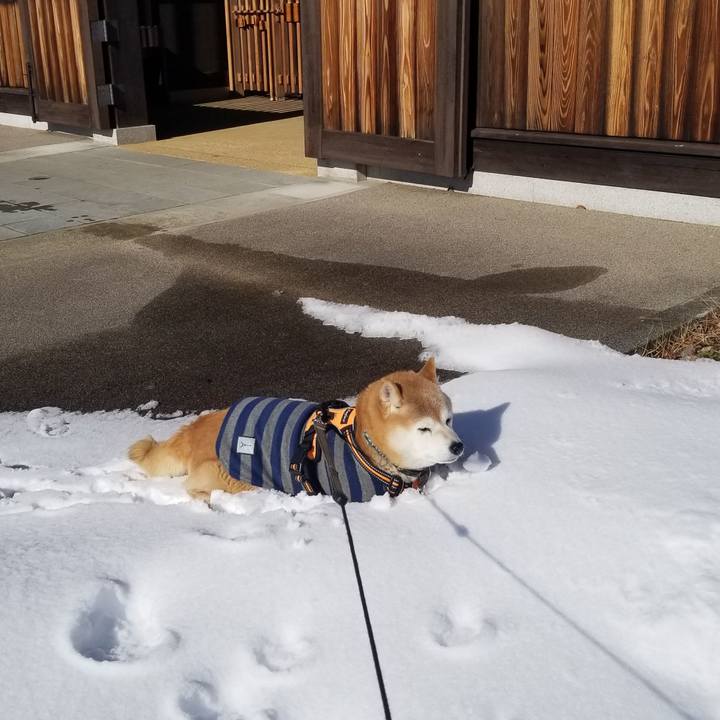 1831e489 6409 4e10 bffa 982ae81d09db 1705201475092