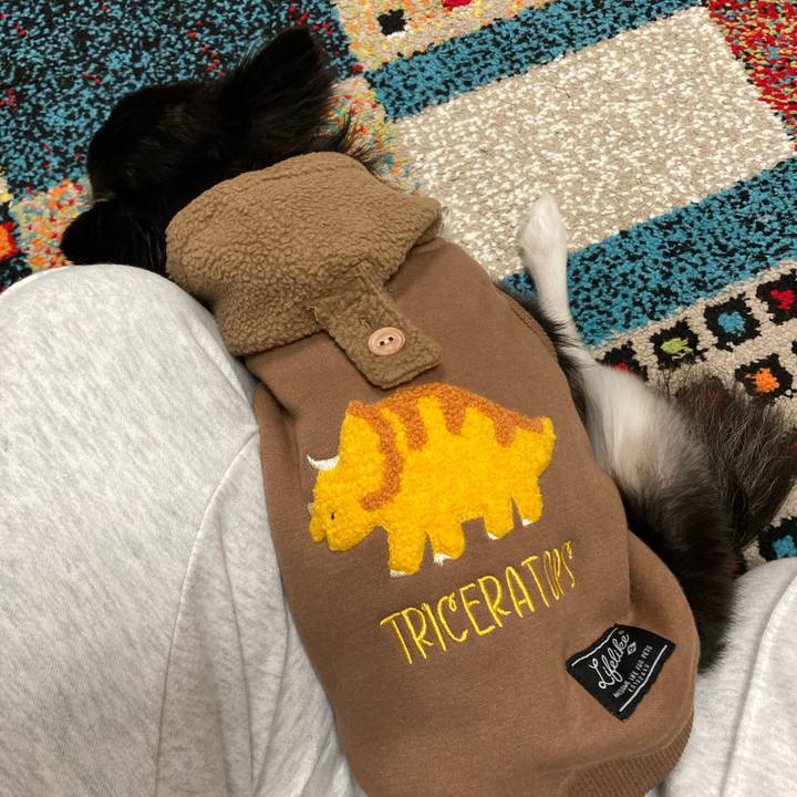 1831f1dc 6e0c 4b16 b0f0 32162f686911 1700923209061