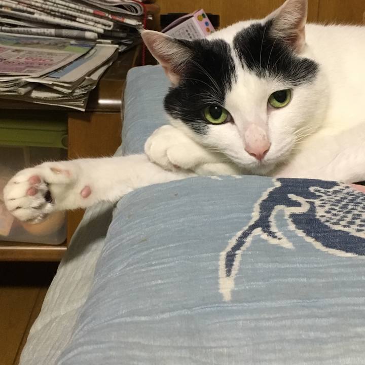 18324012 2c1d 4b55 8293 6cbf529f34e0 1525280469155