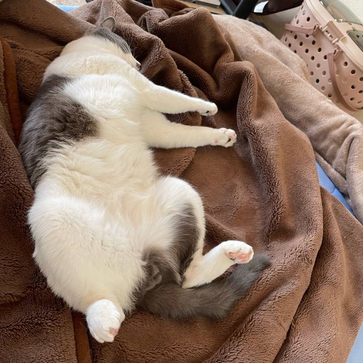 18325281 d93f 4870 8df5 198da920c7e9 1666173497888