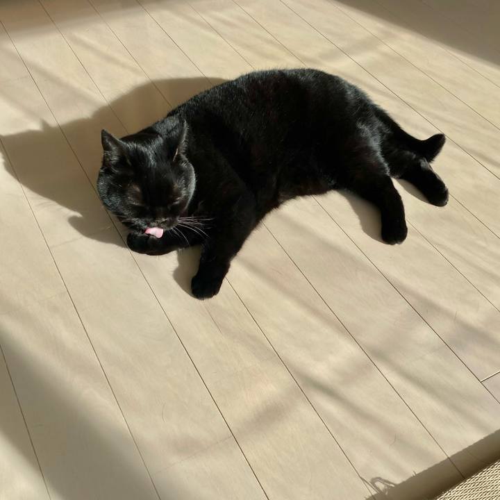 18325f1c 3e1a 41b6 ac24 d6e2a2b85303 1739079825934