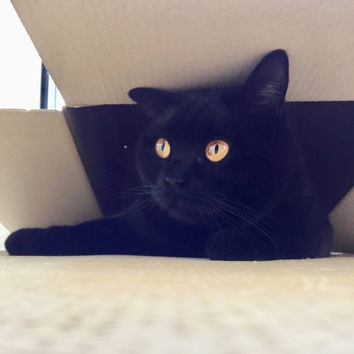 18328c17 2a0e 49e9 aa50 ec126f6ddfe4 1557012807153