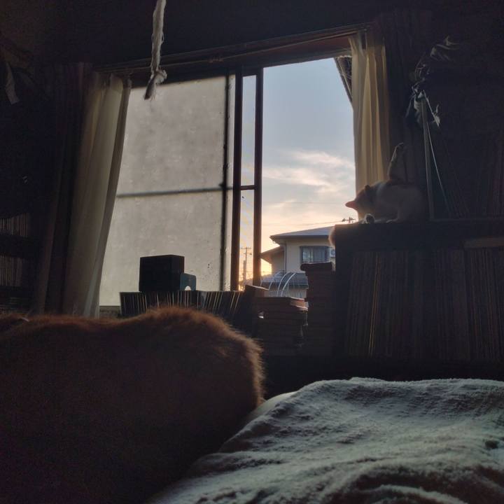 18328f73 281c 4baf 93c7 72abc7d7b9e8 1753223372319