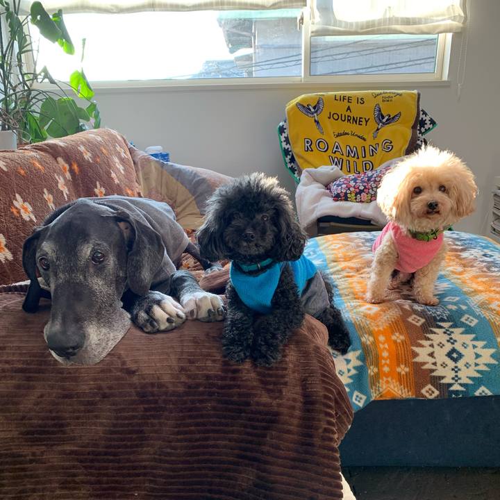 183291f7 ca38 408b b3dc d50657eb777d 1606861793434