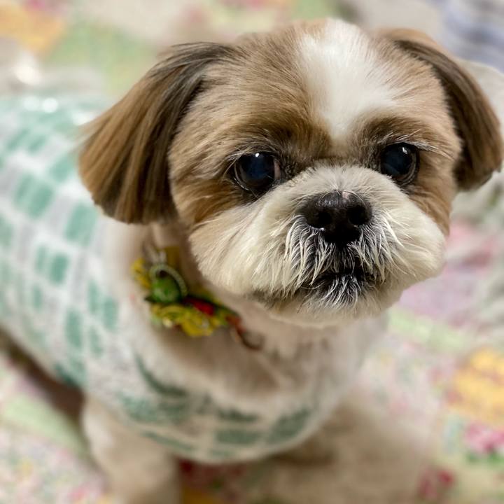 1832afc0 df8e 4e96 aef4 151031a86d05 1610254416790