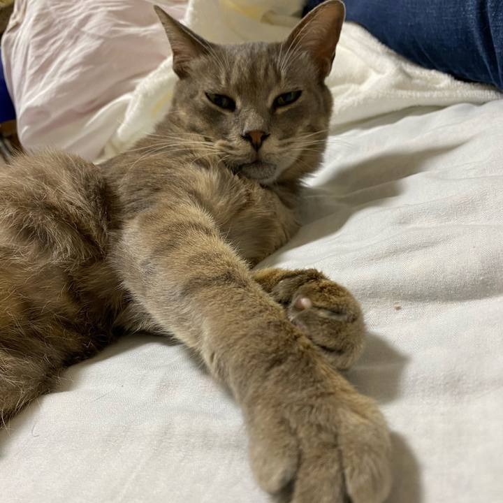 1832b324 f723 4121 8be2 b67fdfde51b0 1596438704925