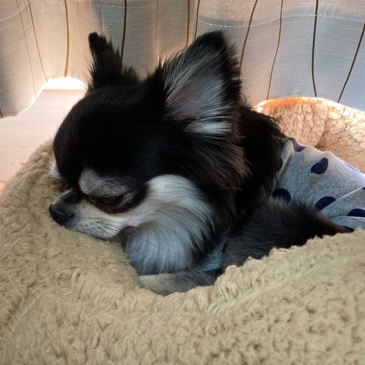 1832d4b3 563e 4ea5 aac9 514f84e4fe71 1653225725481