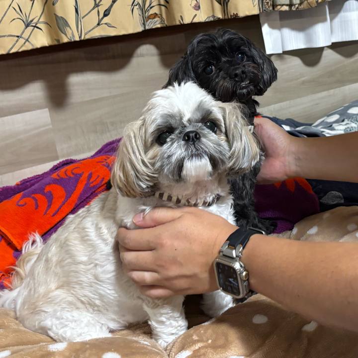 1832d524 6b5e 4d07 96f1 6700c57c4768 1762180076300