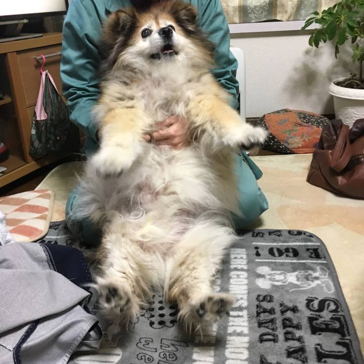 1833207a d8c1 451e 9398 32be30a211ae 1547943820058