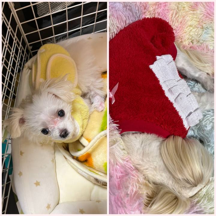 183345aa 3a4f 4dc4 a724 ddf668f99e39 1703762783873