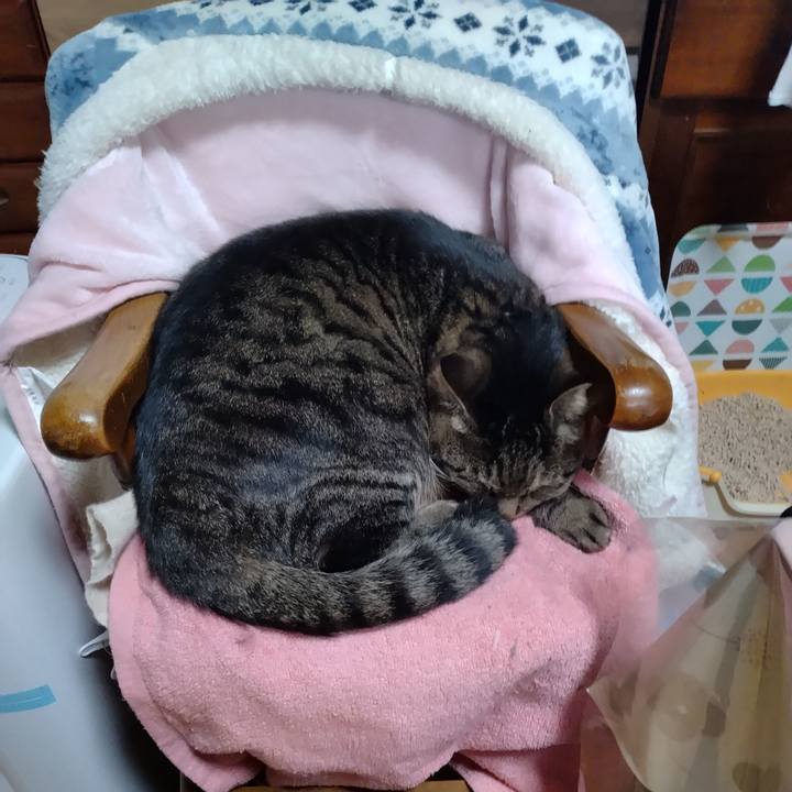 1833a152 3150 457b b18a 07bb7ba8b5cc 1673222723114