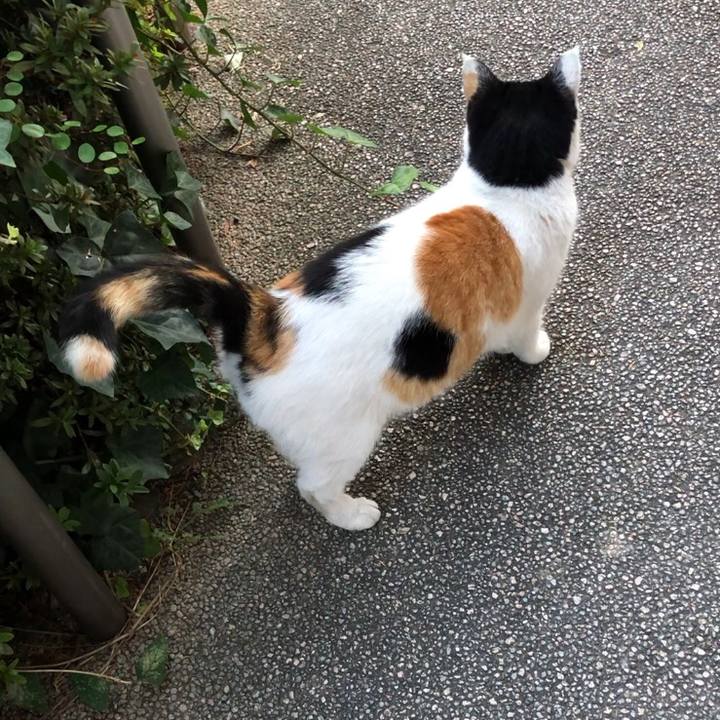 1833ee51 a010 4713 b254 ea890b5b93be 1605047585321