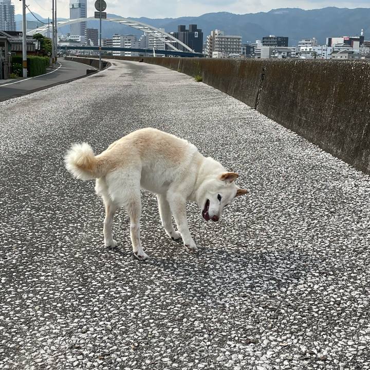 1833f2ca 1d9c 4155 a2c0 885df704ac18 1652794403972