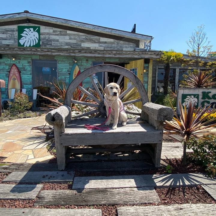 18343f19 3994 4d41 8a25 6bd8ff45094e 1618889247054