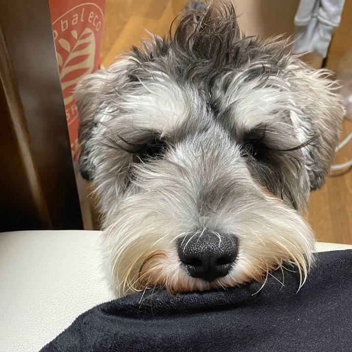 183448ba 91d4 41bd a089 d225b7983a23 1577201554161