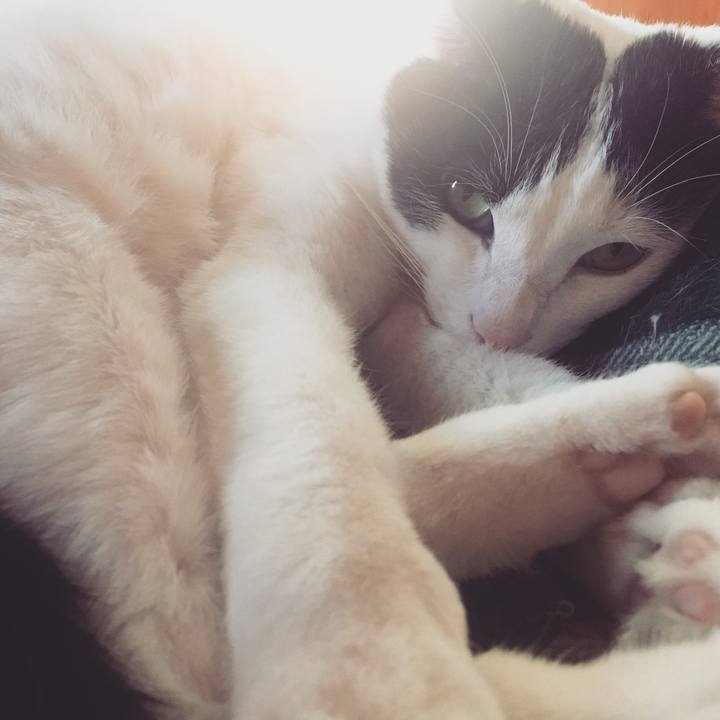 1834546d 7766 4517 94d3 9c5220bdcf56 1516787970215