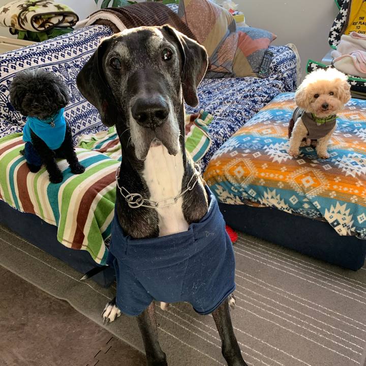 183480be b770 46e8 a04f 2275fa9f214e 1579473424145