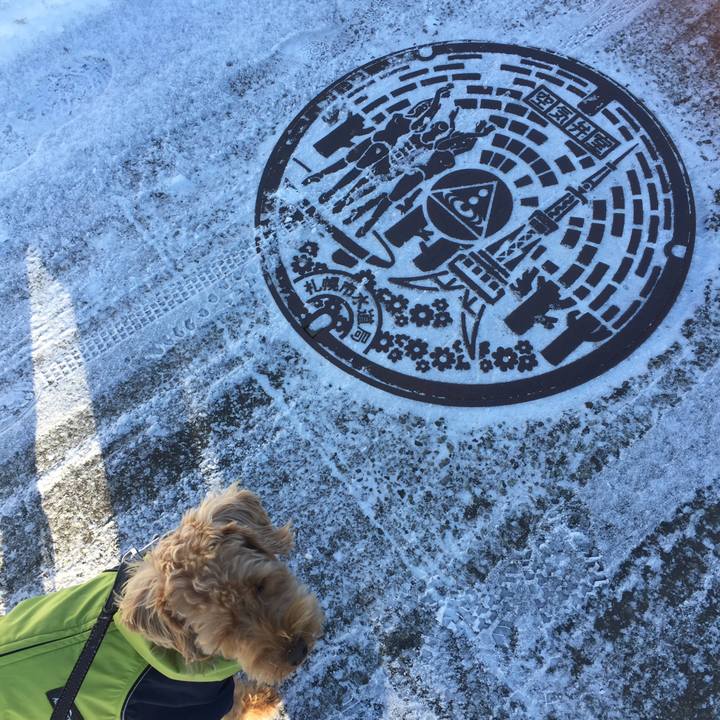 18349098 4386 463e ac9f ea5e8784e054 1521609763197