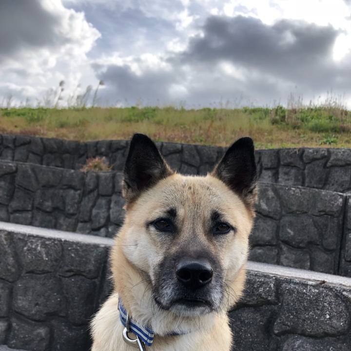 1834aa28 97de 4953 90a1 88da1e67bb22 1542948981068