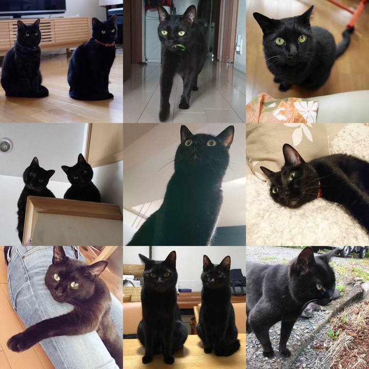 183505bf 374f 4d18 8e0d 240dd10835ac 1543678370077