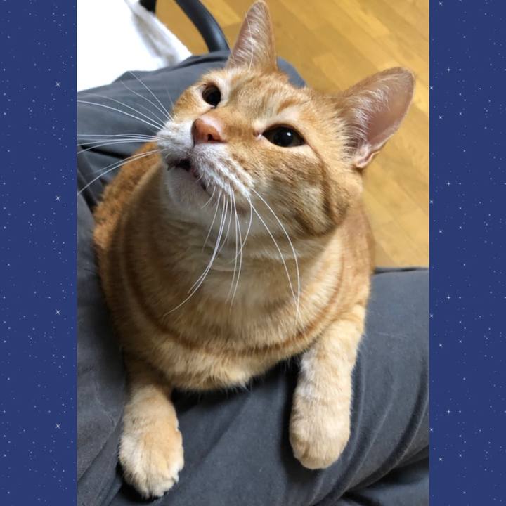 18352c24 a5b3 4fe1 8ad2 a4cd34f68ac3 1649759287832