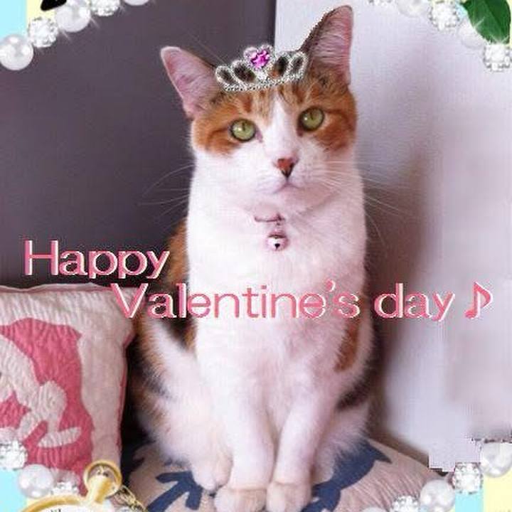 1835514a 0885 4189 bc87 ab96d69915b5 1739543986570