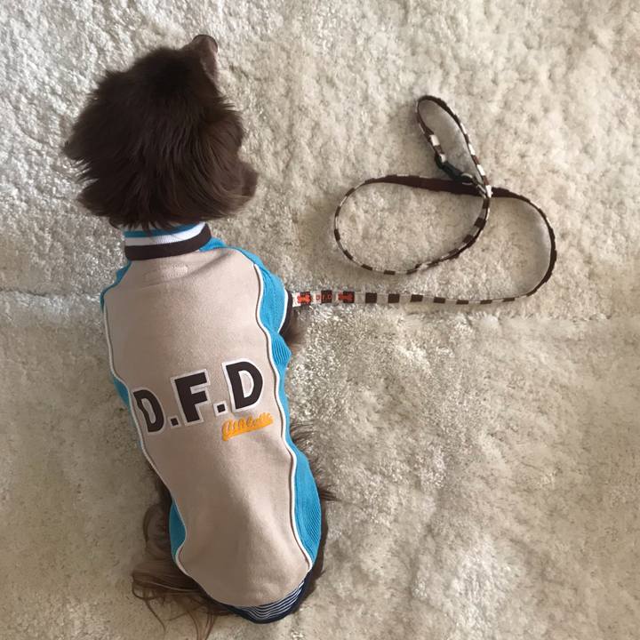 183568eb 0ac6 4a1b 838e fd5e6f0ee6d9 1579156451977