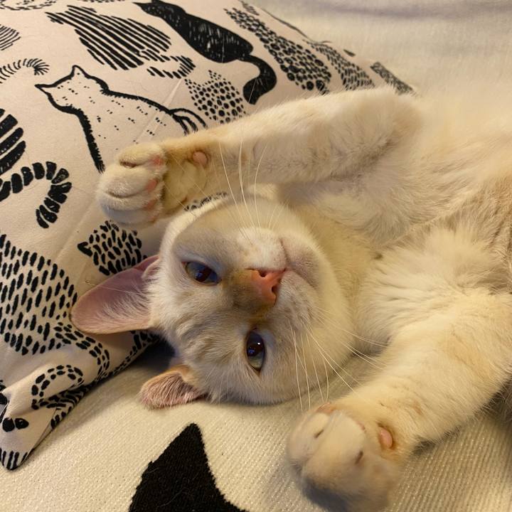 183578a6 fbc4 4ac2 ba34 3d1ea4137707 1730962037502