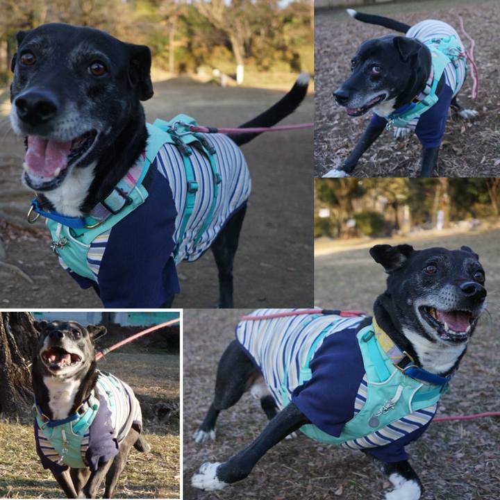 18357be1 bc77 422c ba83 d07c662165a6 1769561593747