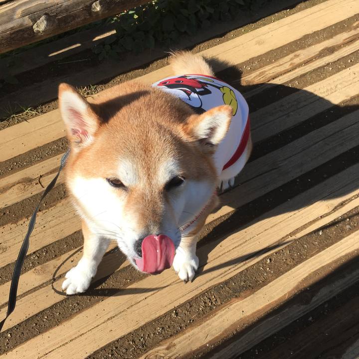 1835979f 906a 4117 8f09 a8ef5349d536 1540082843440