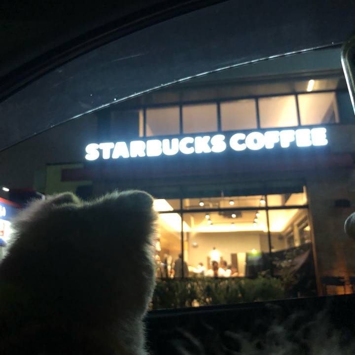 1835a99d e0f2 45e8 91e7 82fac76a06bc 1593864163227