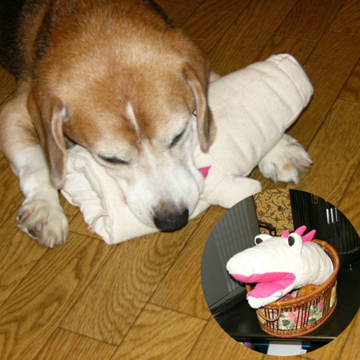 1835cf89 c396 4791 8f84 22253351d76d 1643073342294