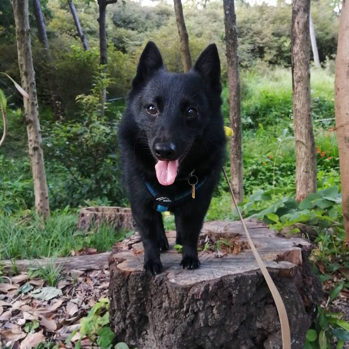 18361ce8 336c 4393 9e52 6e5f9195492d 1663103813553