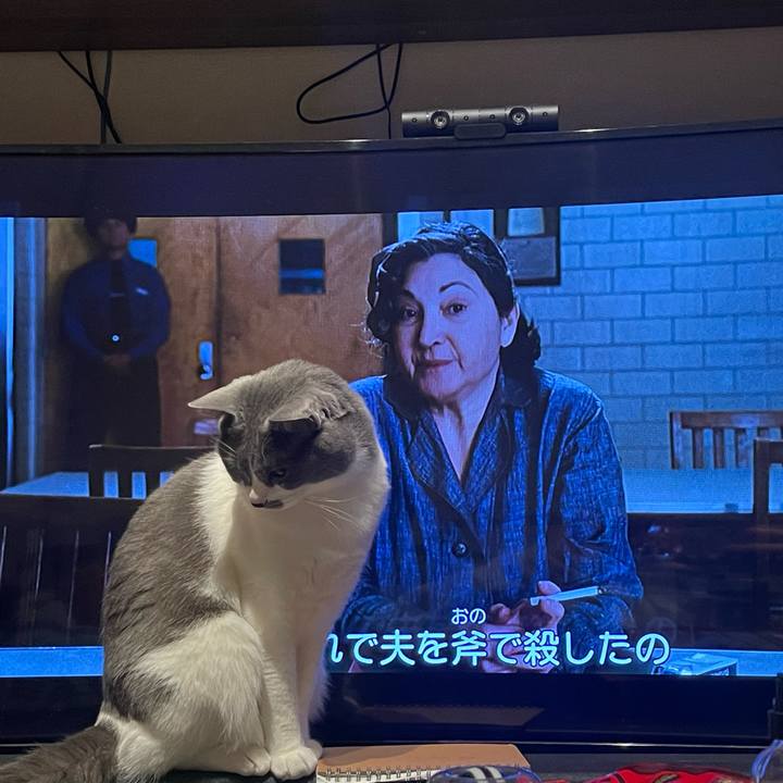 183648d2 cf67 4c3c b08c 3ebe9a095742 1679676881443