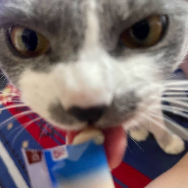 18364a41 d191 412a a198 8229b13dffca 1652856101236