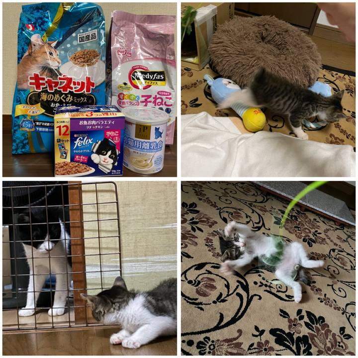 1836e9dc 8fbf 45d0 86e7 fcc99b2dc6e3 1721037868042