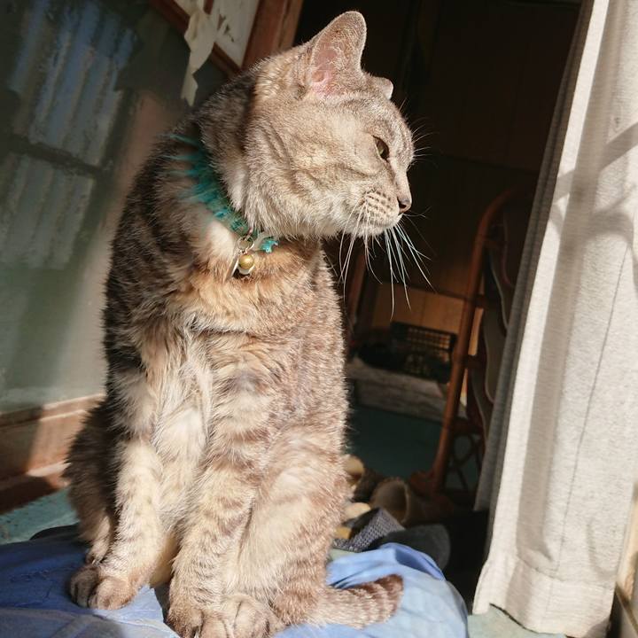 1836ead9 be98 4558 b81c e7c56b872073 1570951561332