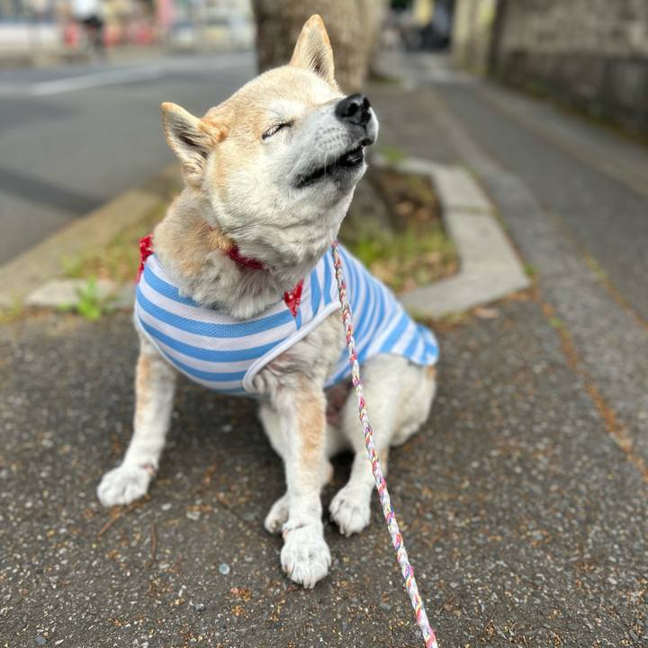 1836f424 4c72 40d4 9ffb 3a4b14faede0 1746953755957