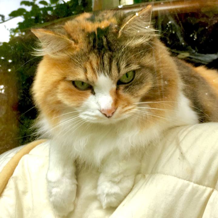 18378846 811d 49b3 9228 802ae8a97c01 1561258577110