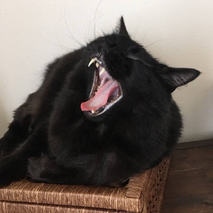 1837a888 572d 4b98 960e 247a0a2302b8 1531267121287