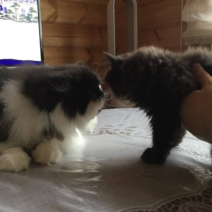 1837b198 a183 4133 8ca8 8c6dc072f440 1615208810300